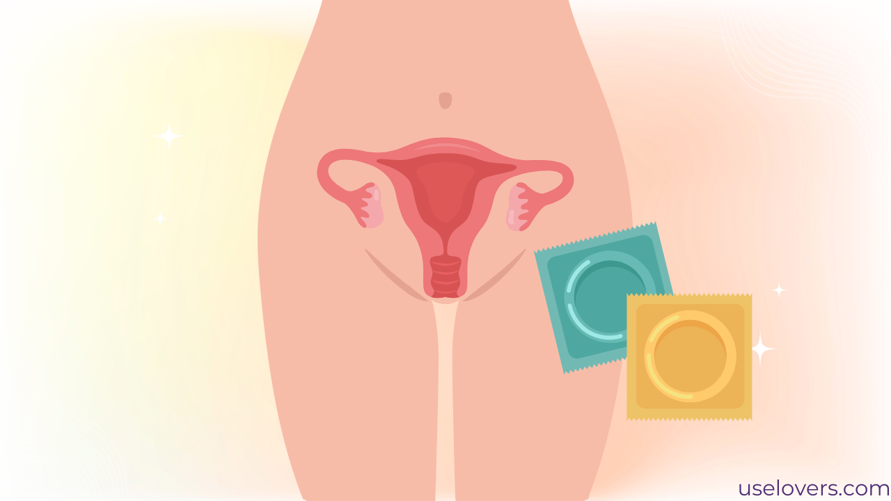 pelvis desenhada com um útero