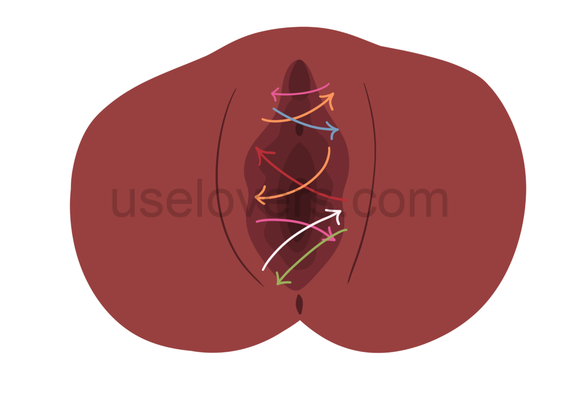 vulva com setas